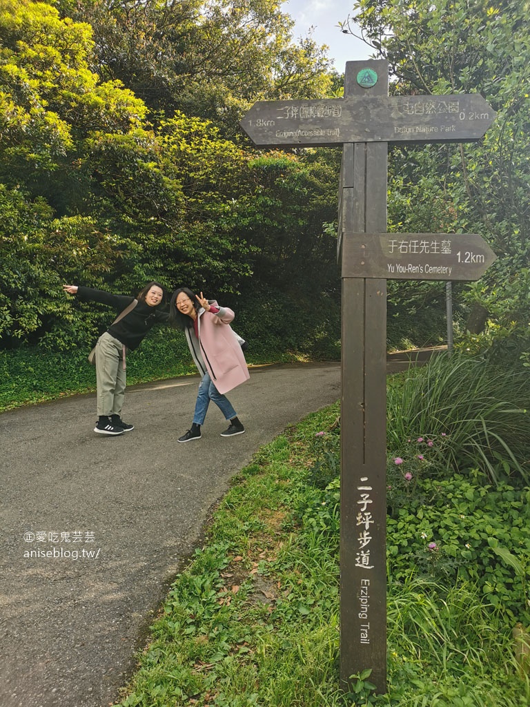 二子坪步道，陽明山最好走的步道，也是無障礙步道喔！