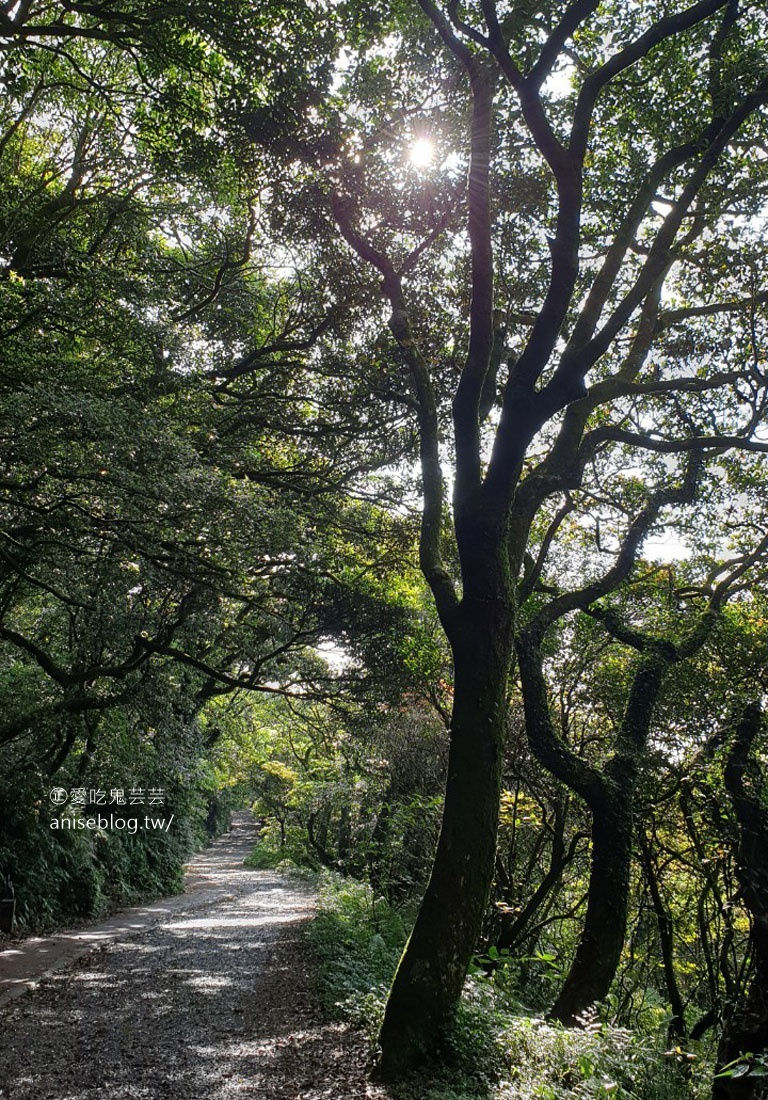 二子坪步道，陽明山最好走的步道，也是無障礙步道喔！