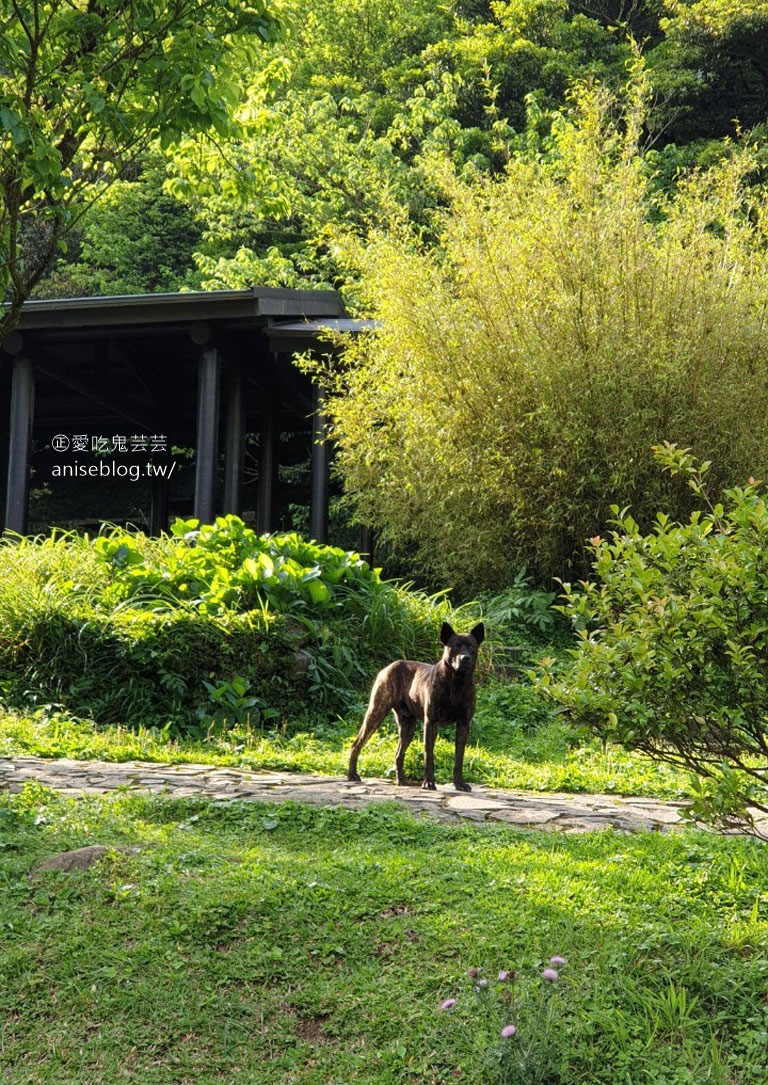 二子坪步道，陽明山最好走的步道，也是無障礙步道喔！