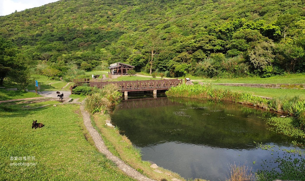 二子坪步道，陽明山最好走的步道，也是無障礙步道喔！