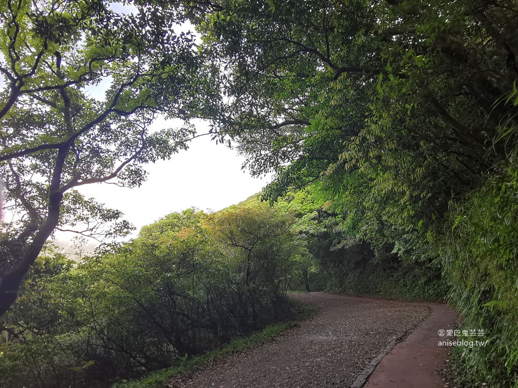 二子坪步道，陽明山最好走的步道，也是無障礙步道喔！