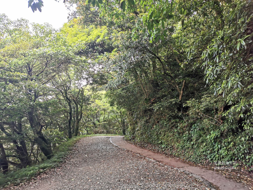 二子坪步道，陽明山最好走的步道，也是無障礙步道喔！