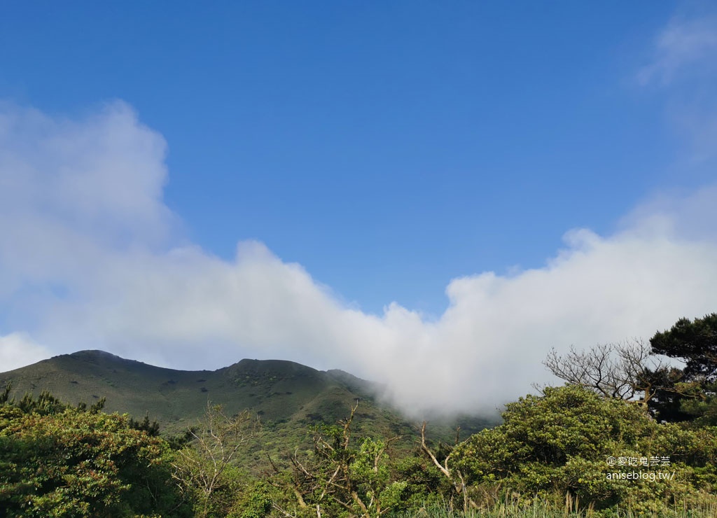 二子坪步道，陽明山最好走的步道，也是無障礙步道喔！