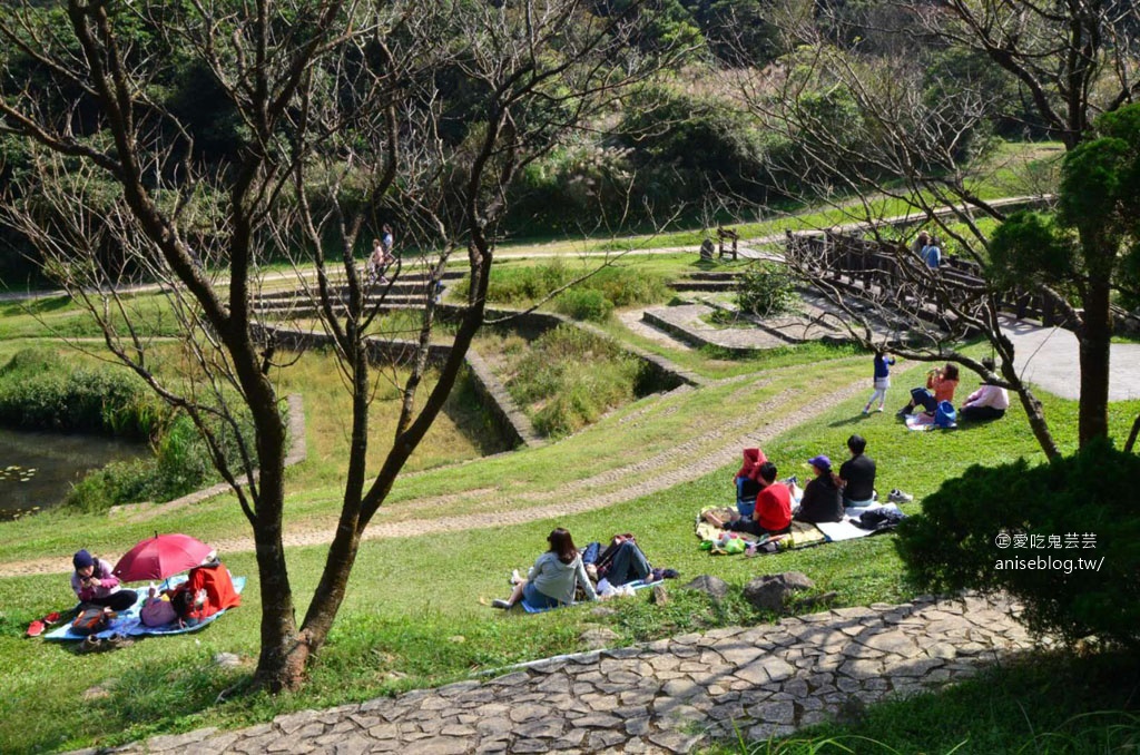 二子坪步道，陽明山最好走的步道，也是無障礙步道喔！