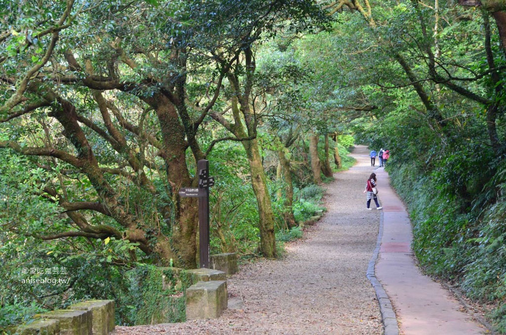 二子坪步道，陽明山最好走的步道，也是無障礙步道喔！