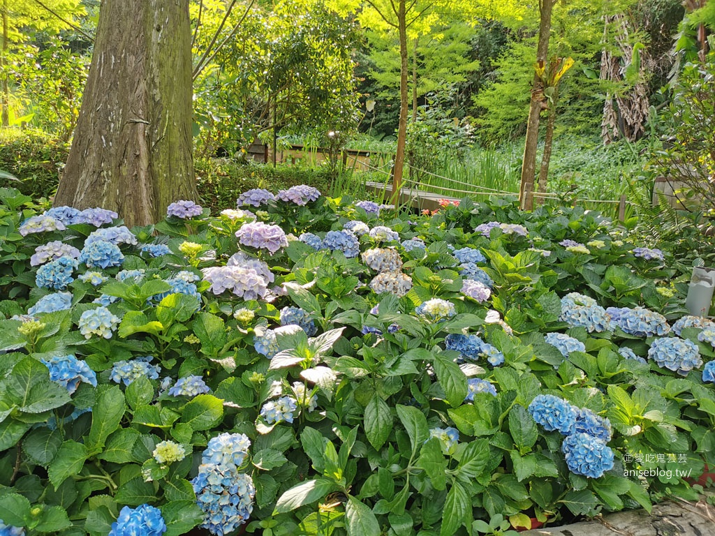 卓也小屋藏山館辦桌趣！還有油桐花和螢火蟲 😍