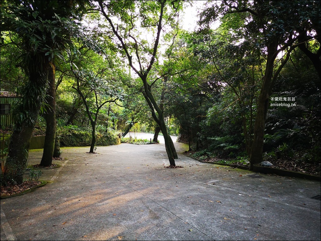 紅淡山步道，15分鐘給你整個基隆的美景，小百岳007號(姊姊遊記)