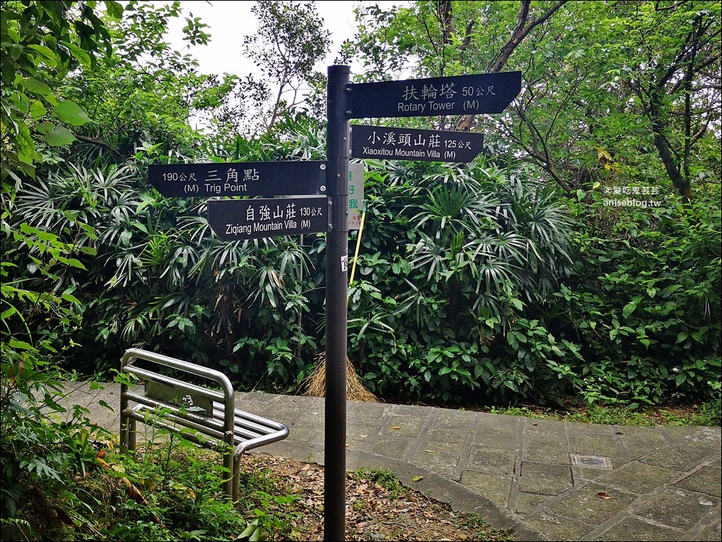 紅淡山步道，15分鐘給你整個基隆的美景，小百岳007號(姊姊遊記)