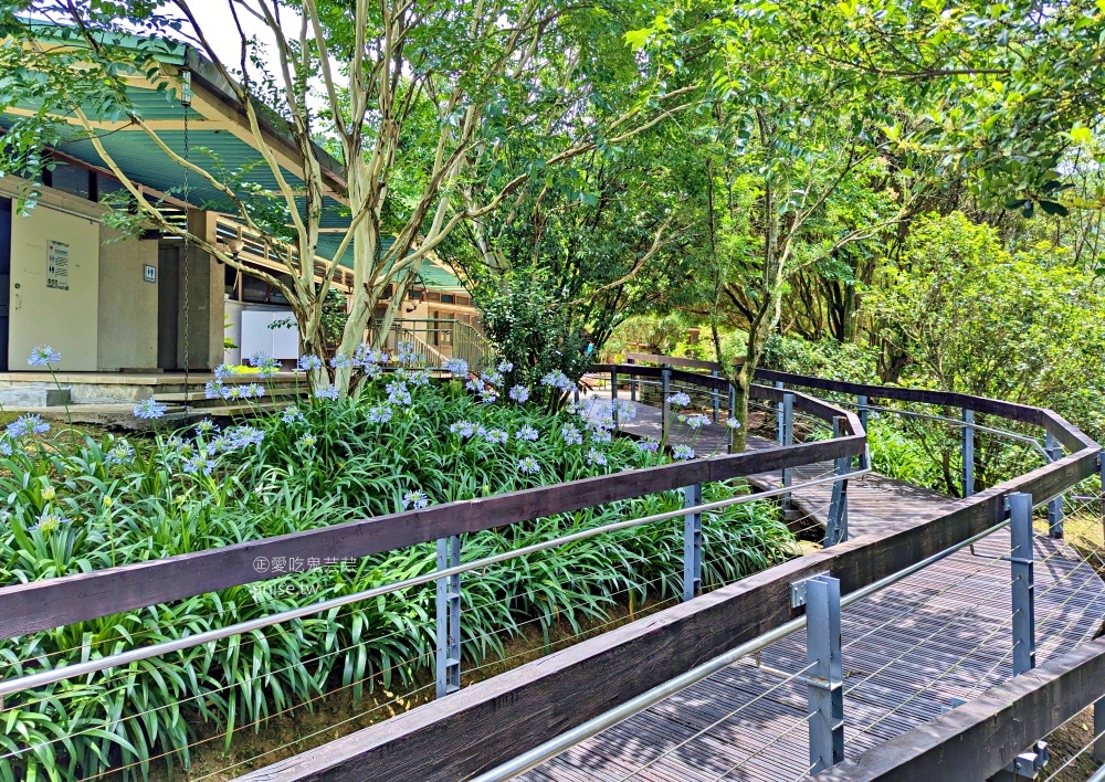 內雙溪自然中心(百子蓮花季期間限定開放)+藥用植物園，台北近郊親子旅行(姊姊遊記)
