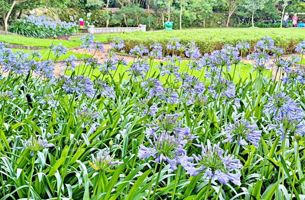 內雙溪自然中心(百子蓮花季期間限定開放)+藥用植物園，台北近郊親子旅行(姊姊遊記)