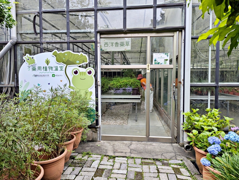 內雙溪自然中心(百子蓮花季期間限定開放)+藥用植物園，台北近郊親子旅行(姊姊遊記)