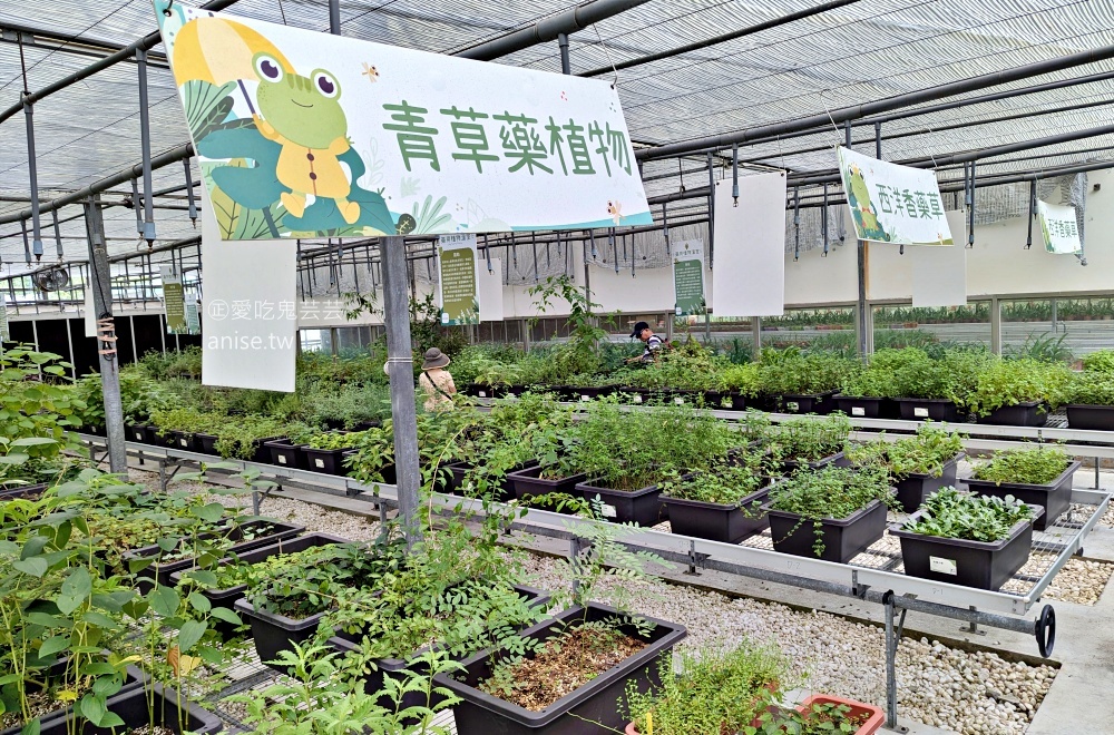 內雙溪自然中心(百子蓮花季期間限定開放)+藥用植物園，台北近郊親子旅行(姊姊遊記)