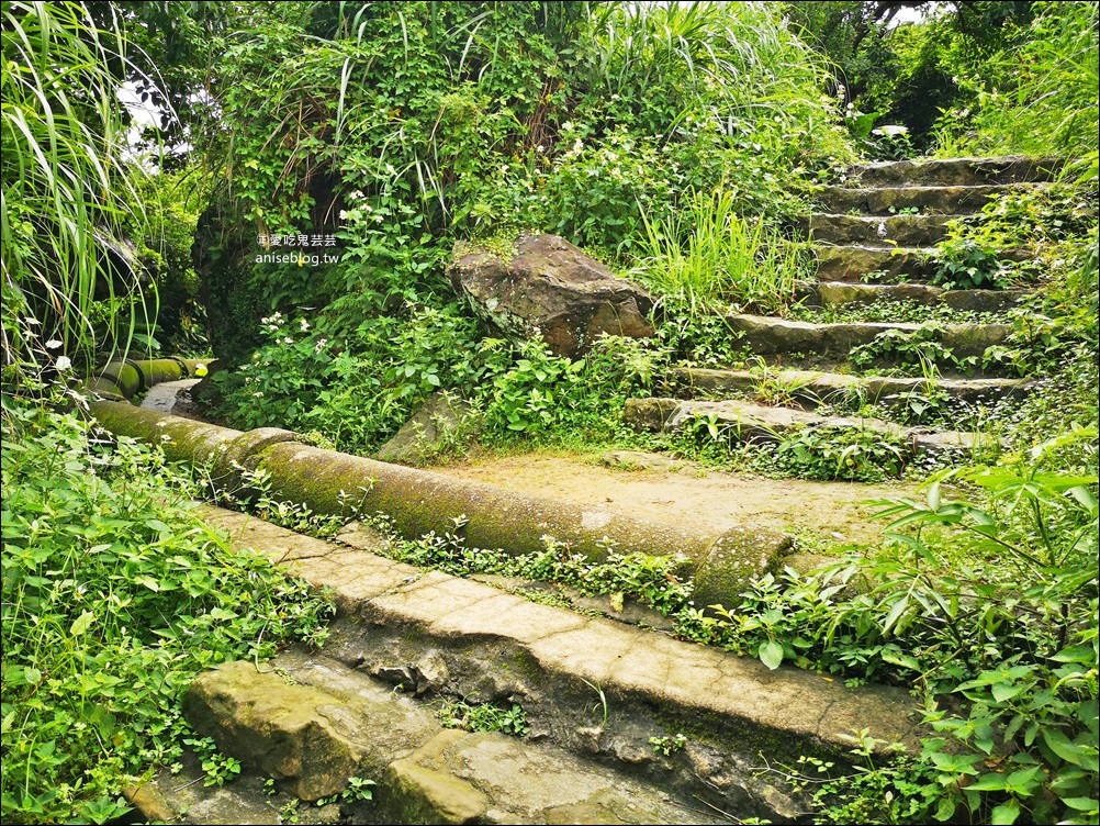 金瓜石祕境摸乳巷、三層橋，瑞芳山尖路步道(姊姊遊記)