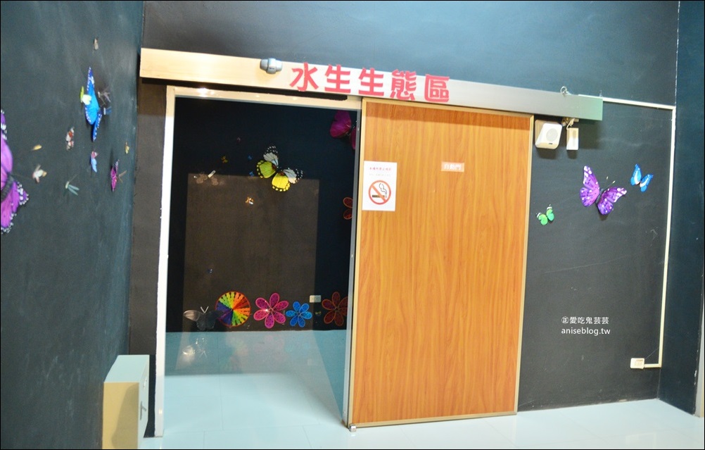 嘉大昆蟲館，嘉義親子景點室內展館(姊姊遊記)