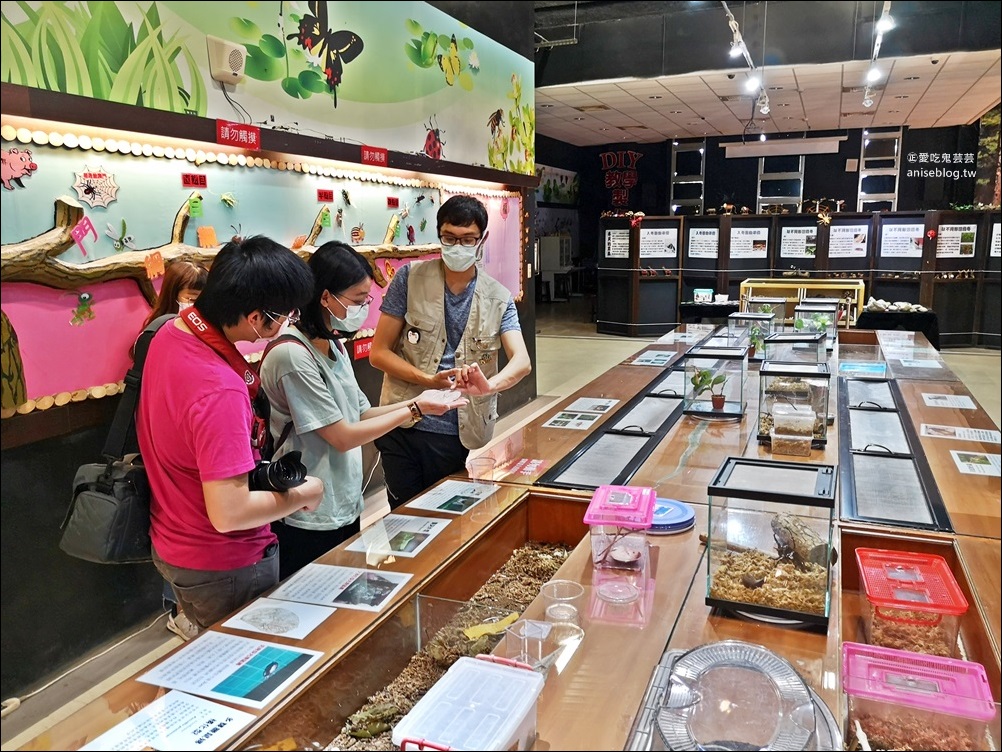 嘉大昆蟲館，嘉義親子景點室內展館(姊姊遊記)