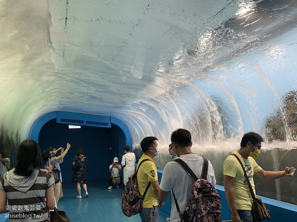 北台灣最大水族館Xpark即將開幕，萌企鵝陪你喝咖啡，超可愛😍😍😍