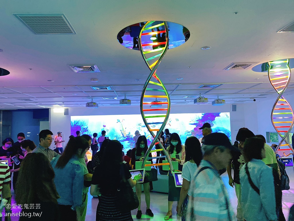 北台灣最大水族館Xpark即將開幕，萌企鵝陪你喝咖啡，超可愛😍😍😍