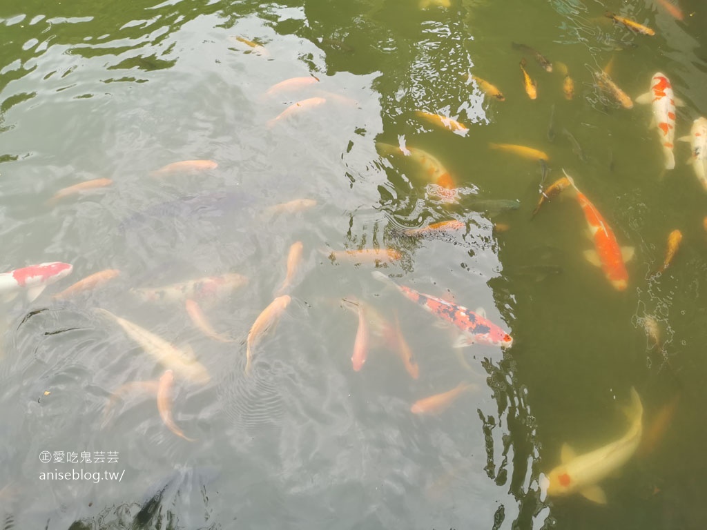 土角厝水上庭園餐廳，親家母口味的唷！@埔里美食