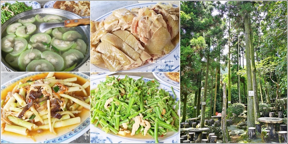 竹湖土雞城，平價山產野菜，陽明山竹子湖美食(姊姊食記) @愛吃鬼芸芸