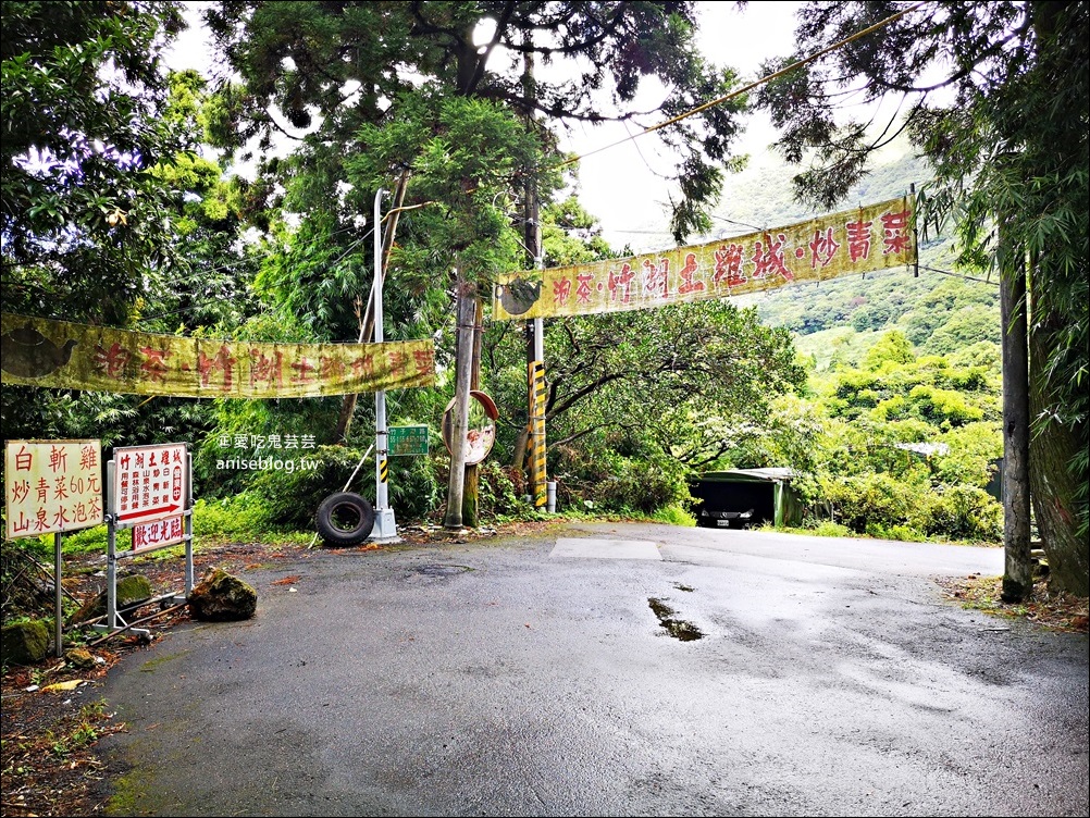 竹湖土雞城，平價山產野菜，陽明山竹子湖美食(姊姊食記)