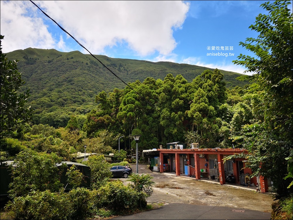 竹湖土雞城，平價山產野菜，陽明山竹子湖美食(姊姊食記)