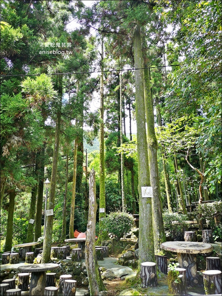 竹湖土雞城，平價山產野菜，陽明山竹子湖美食(姊姊食記)