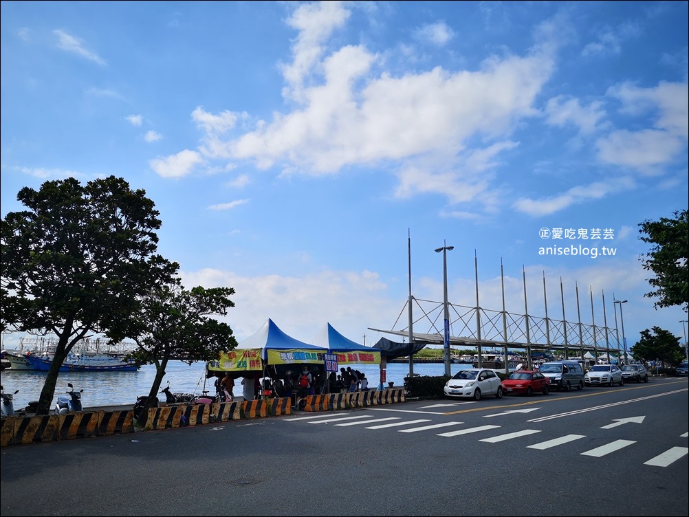 宜蘭賞鯨豚+龜山島登島+牛奶海，搭雙船底遊艇蘭鯨號(姊姊遊記)