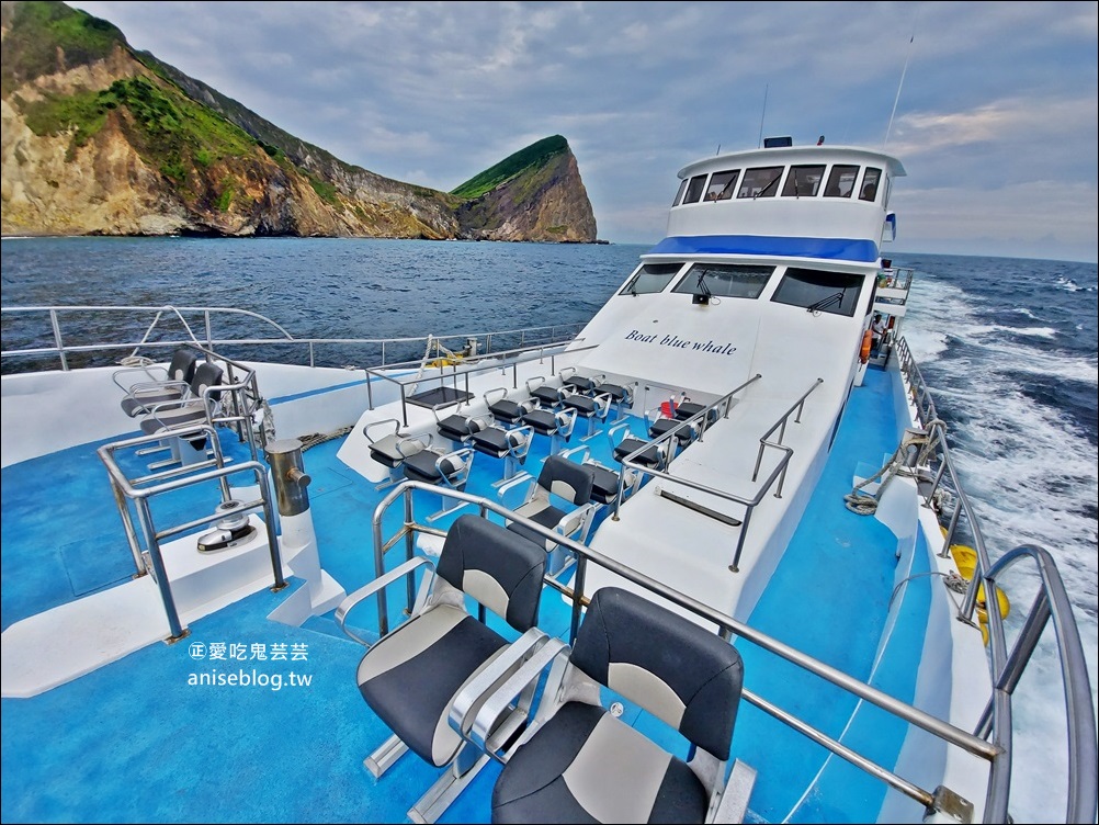 宜蘭賞鯨豚+龜山島登島+牛奶海，搭雙船底遊艇蘭鯨號(姊姊遊記)