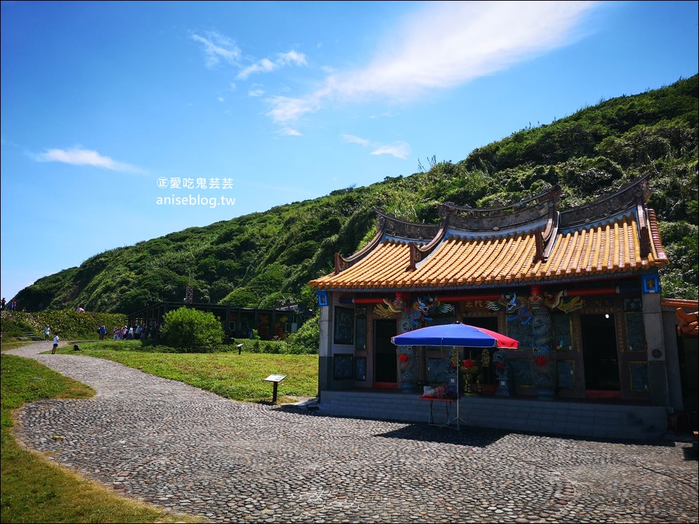 宜蘭賞鯨豚+龜山島登島+牛奶海，搭雙船底遊艇蘭鯨號(姊姊遊記)