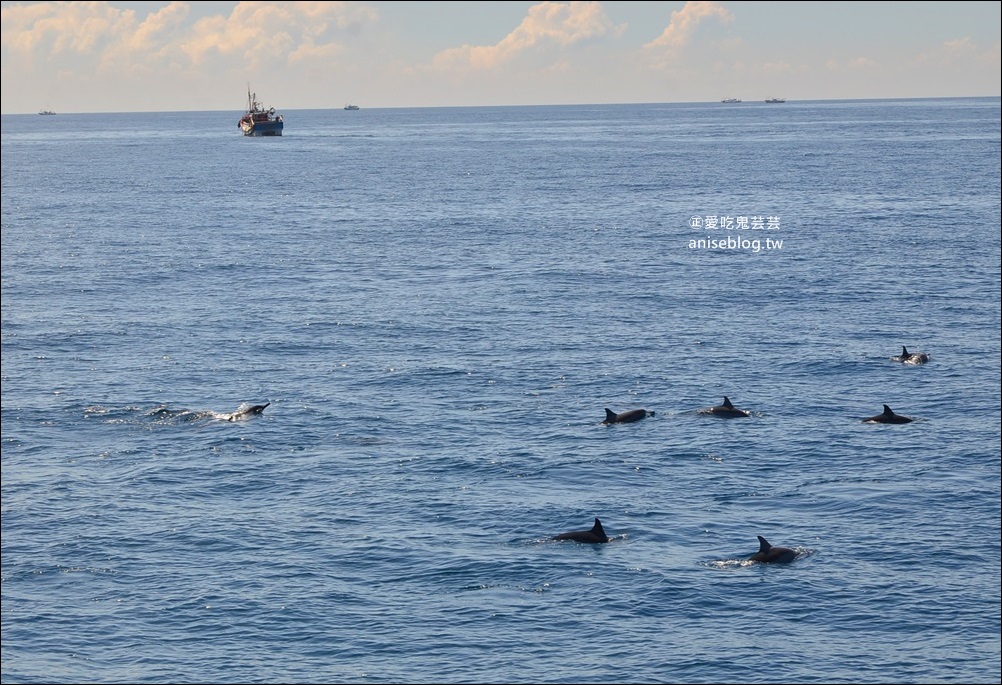 宜蘭賞鯨豚+龜山島登島+牛奶海，搭雙船底遊艇蘭鯨號(姊姊遊記)