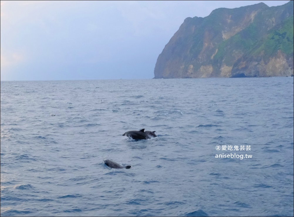 宜蘭賞鯨豚+龜山島登島+牛奶海，搭雙船底遊艇蘭鯨號(姊姊遊記)