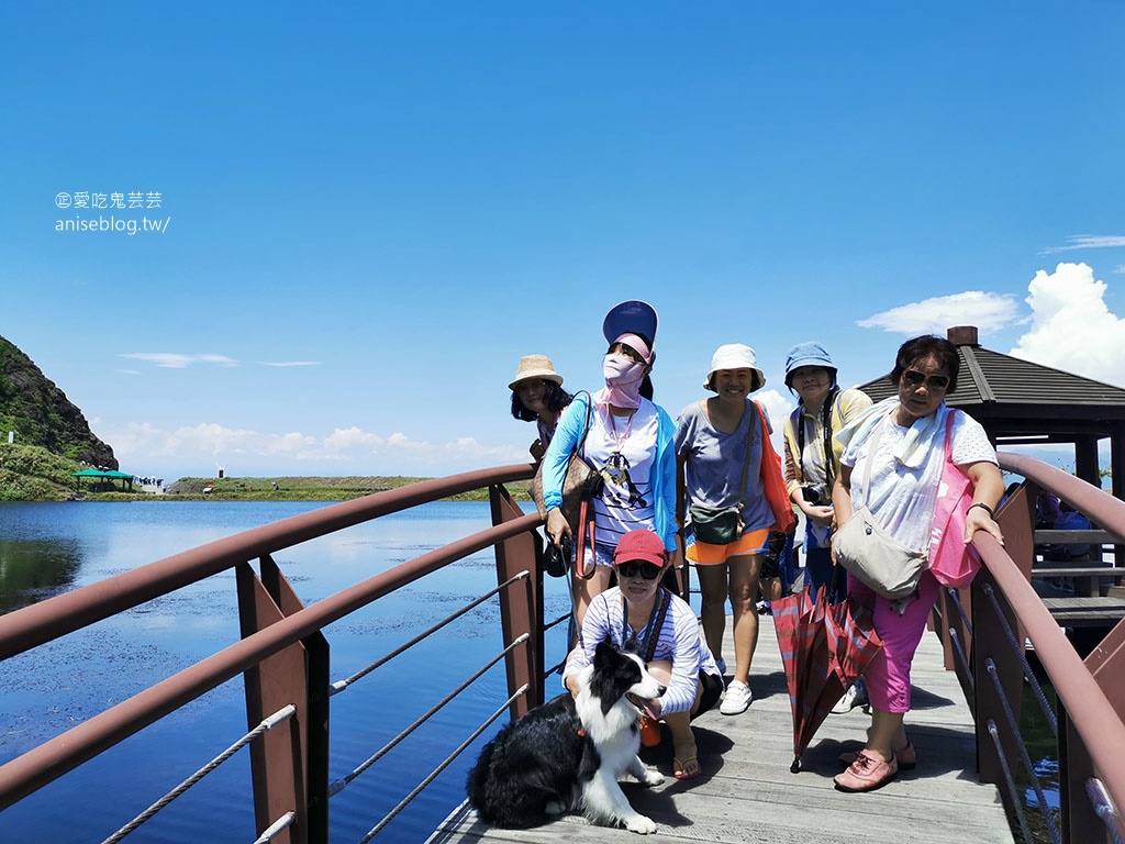 宜蘭賞鯨豚+龜山島登島+牛奶海，搭雙船底遊艇蘭鯨號(姊姊遊記)