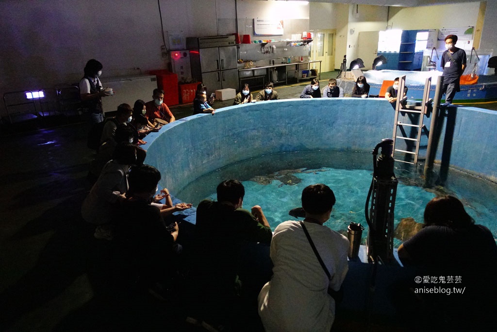 夜宿海生館1泊3食，來去海生館住一晚！行前注意事項、特殊活動、提供餐點、盥洗….等