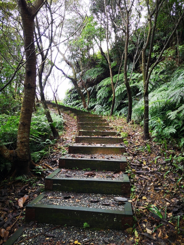 國家新城後山觀景台、新山水庫遠眺亭，俯瞰基隆新山水庫絕佳景致(姊姊遊記)