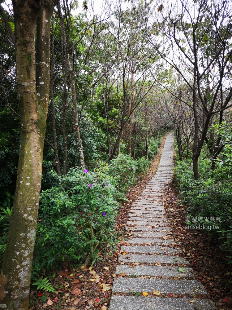 國家新城後山觀景台、新山水庫遠眺亭，俯瞰基隆新山水庫絕佳景致(姊姊遊記)