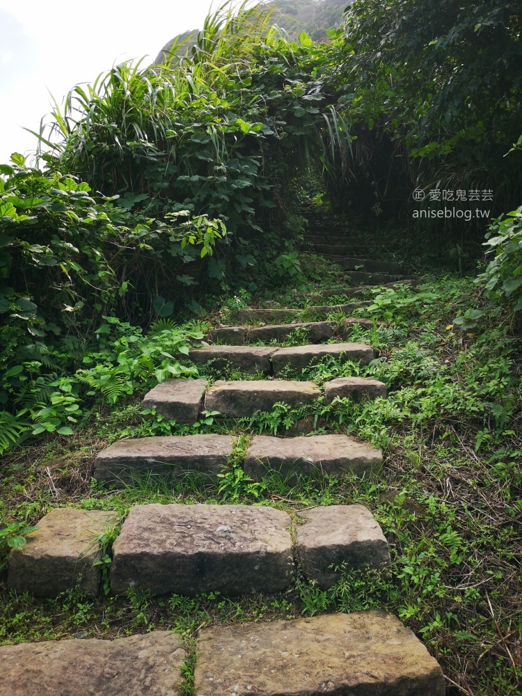 情人湖登山步道，串聯基隆西海岸線，山海美景一日遊(姊姊遊記)