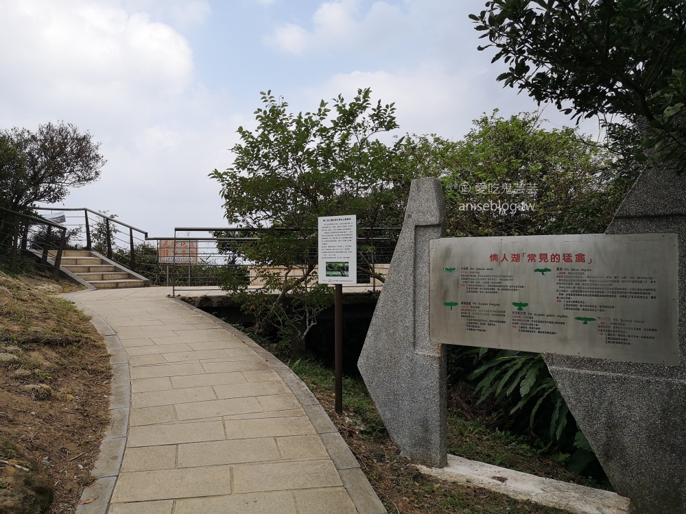 情人湖登山步道，串聯基隆西海岸線，山海美景一日遊(姊姊遊記)