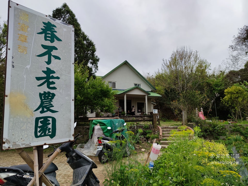 大湖草莓半日遊 | 春不老農園、花間集巨無霸草莓冰、醉心亭客家料理、卓也小屋書園子