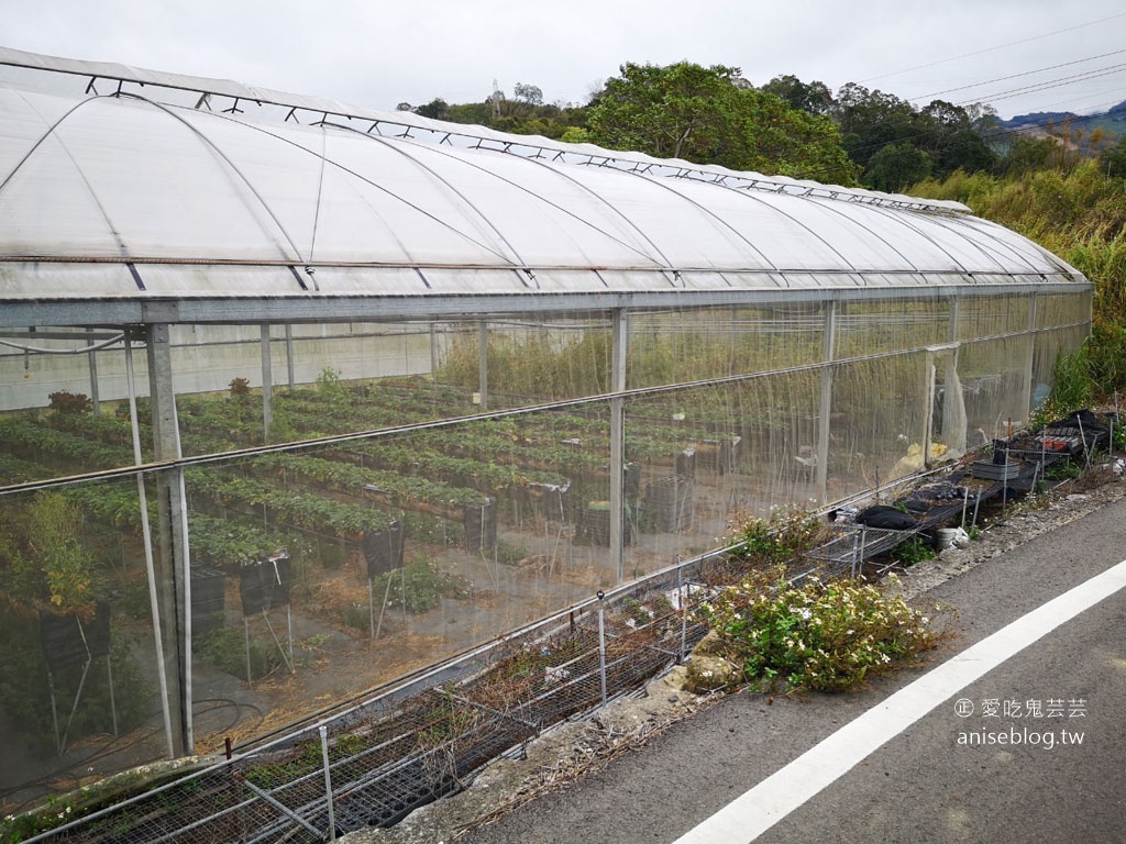 大湖草莓半日遊 | 春不老農園、花間集巨無霸草莓冰、醉心亭客家料理、卓也小屋書園子