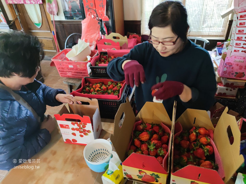 大湖草莓半日遊 | 春不老農園、花間集巨無霸草莓冰、醉心亭客家料理、卓也小屋書園子