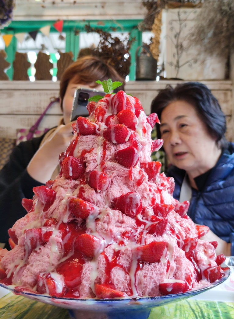 大湖草莓半日遊 | 春不老農園、花間集巨無霸草莓冰、醉心亭客家料理、卓也小屋書園子