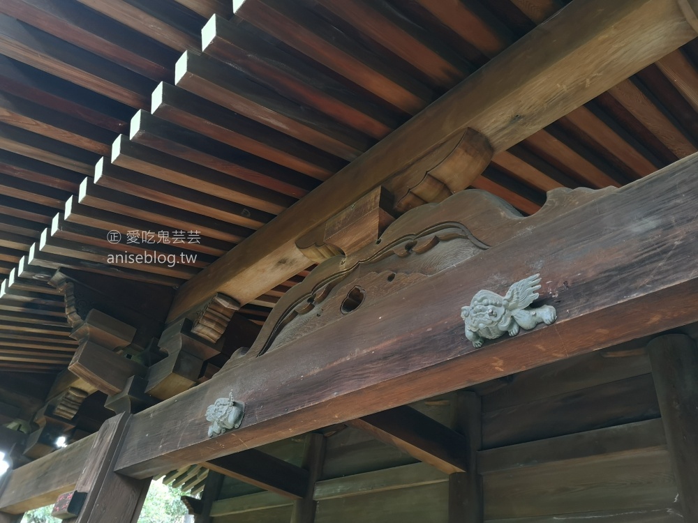 桃園忠烈祠-桃園神社、虎頭山環保公園，桃園近郊偽出國小旅行(姊姊遊記)