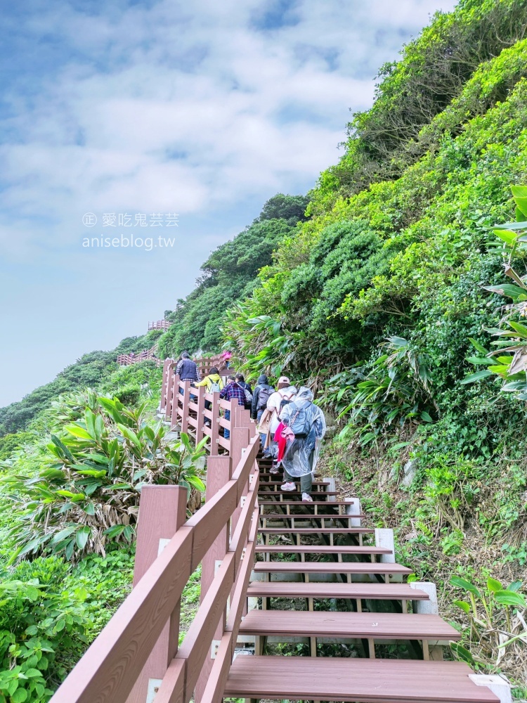 基隆嶼登島，攀登孤懸海上的美麗仙境(姊姊遊記)