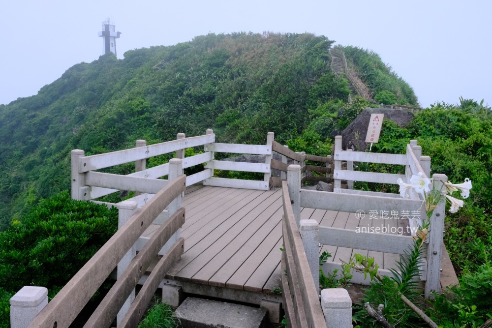 基隆嶼登島，攀登孤懸海上的美麗仙境(姊姊遊記)