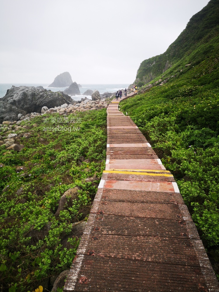 基隆嶼登島，攀登孤懸海上的美麗仙境(姊姊遊記)