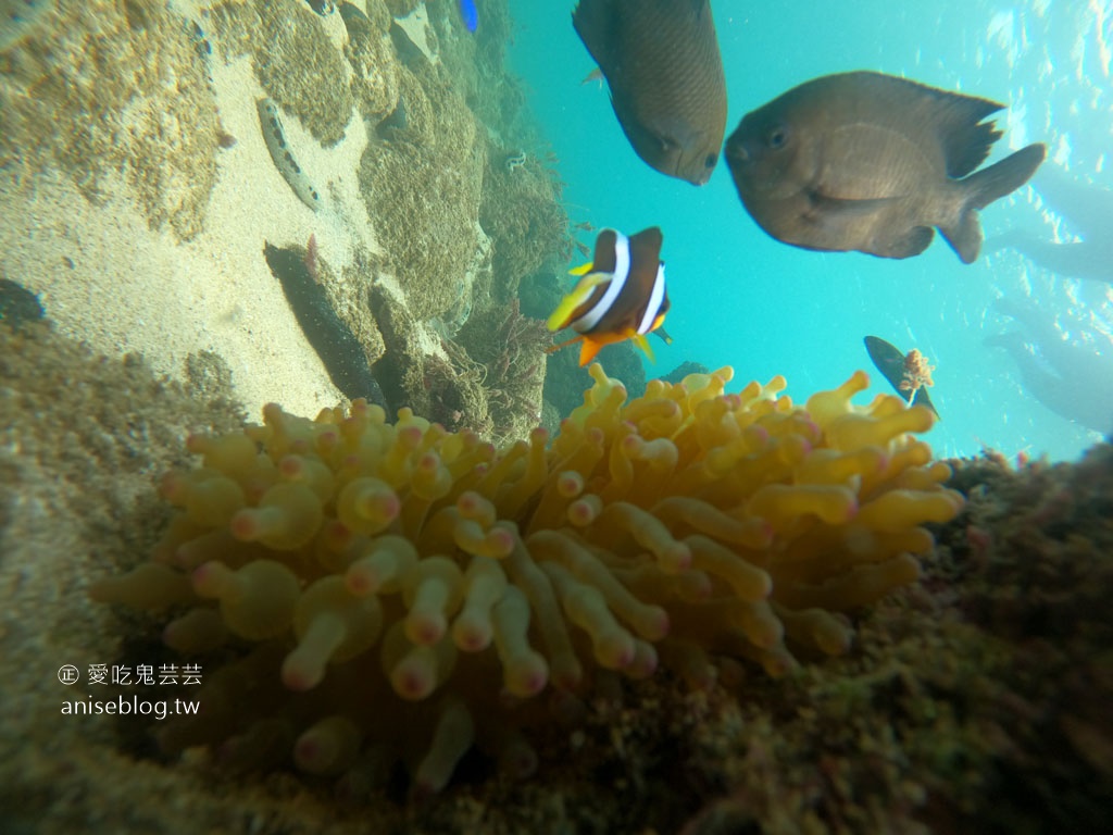 海底郵筒浮潛・SUP體驗｜澎湖樂福海洋工作坊，現折TWD200起