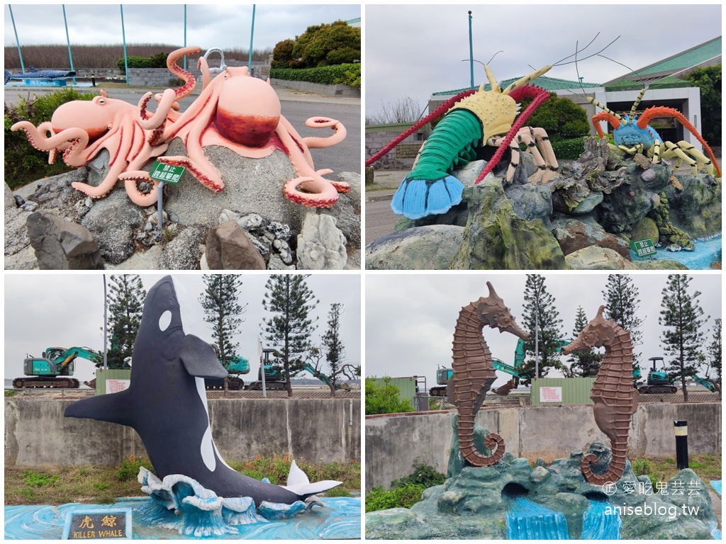 澎湖景點推薦 | 澎湖水族館，親子、雨天備案、避暑好去處，最推薦大洋池餵食秀！