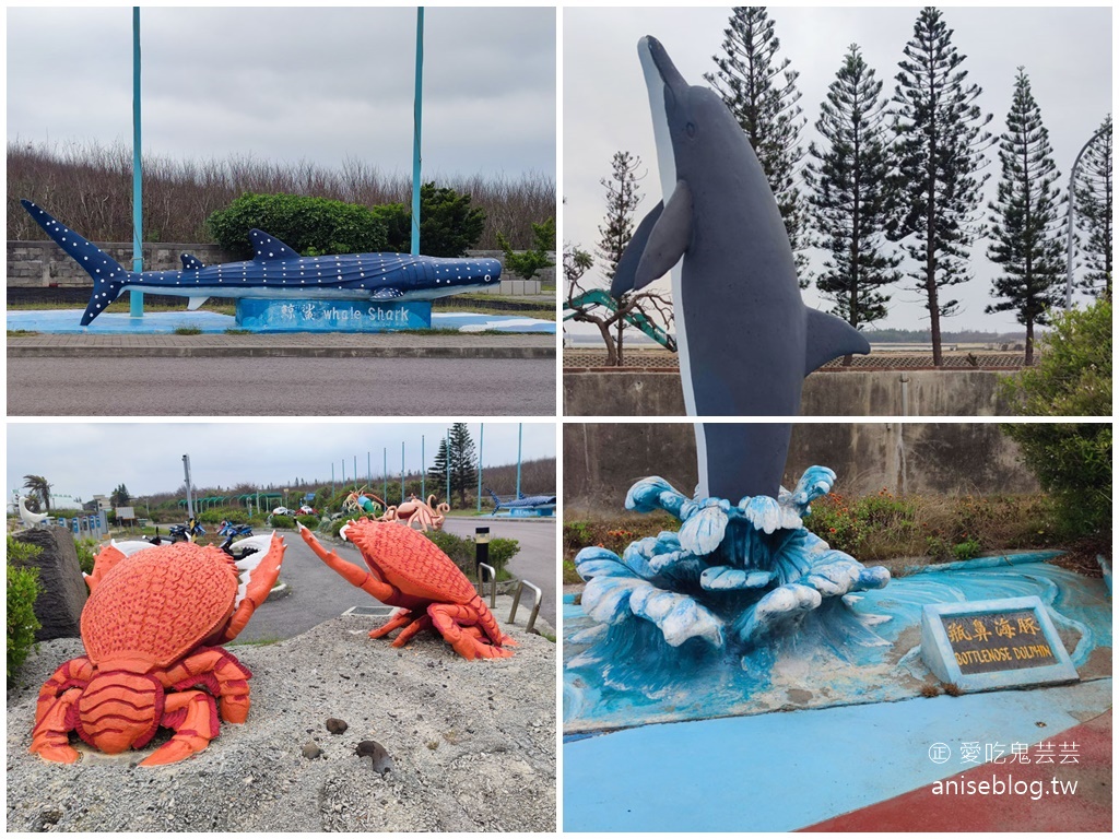 澎湖景點推薦 | 澎湖水族館，親子、雨天備案、避暑好去處，最推薦大洋池餵食秀！