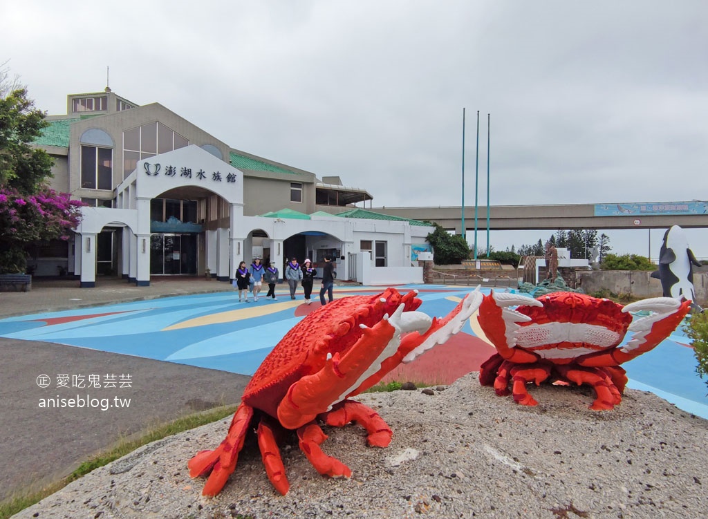 澎湖景點推薦 | 澎湖水族館，親子、雨天備案、避暑好去處，最推薦大洋池餵食秀！