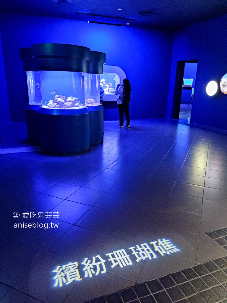 澎湖景點推薦 | 澎湖水族館，親子、雨天備案、避暑好去處，最推薦大洋池餵食秀！